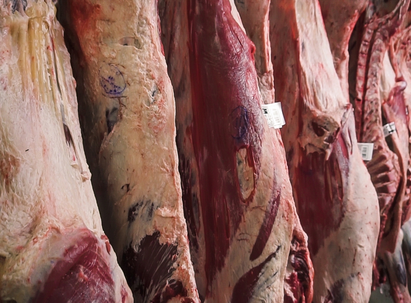 Carne Bovina in Natura